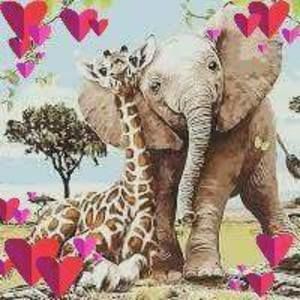 Meet your Posher, Debbie